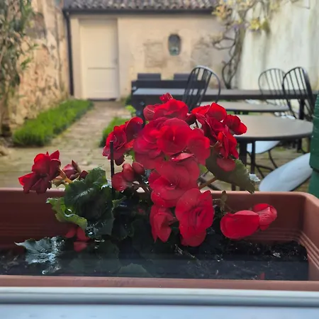 B&B 19 보르고 카보우르