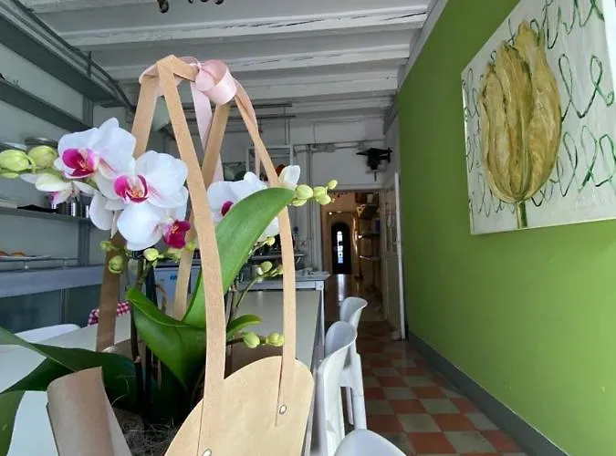 Bed & Breakfast 19 Borgo Cavour Treviso