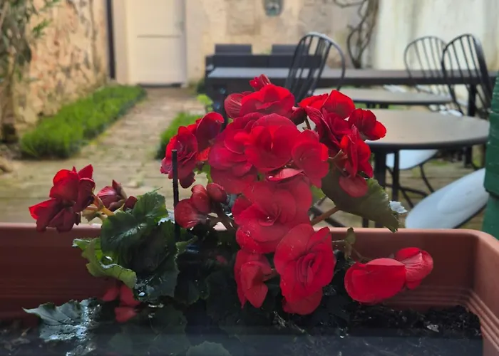 Bed & Breakfast 19 Borgo Cavour