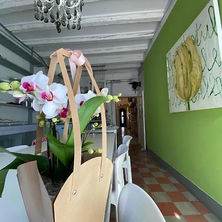 Bed & Breakfast 19 Borgo Cavour Treviso