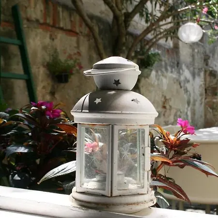 Bed and breakfast 19 Borgo Cavour Treviso
